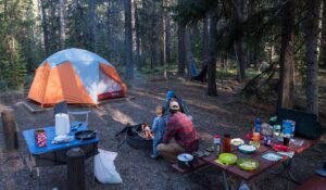Apgar Campground