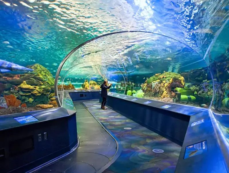 Ripley’s Aquarium of Canada