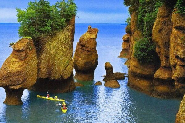 Things To Do In New Brunswick