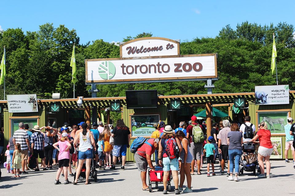 Toronto Activities to Enjoy with the Kids