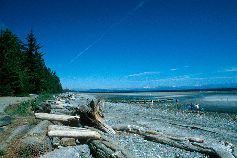 The Best Camping Near Comox BC