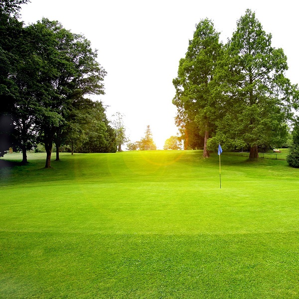 Golf at Queen Elizabeth Park
