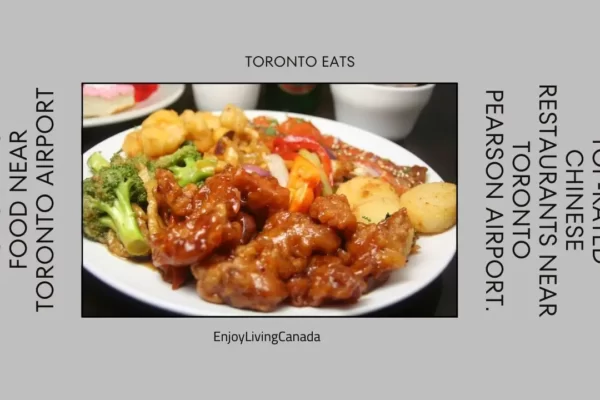 Best Chinese Restaurants Near Toronto Airport