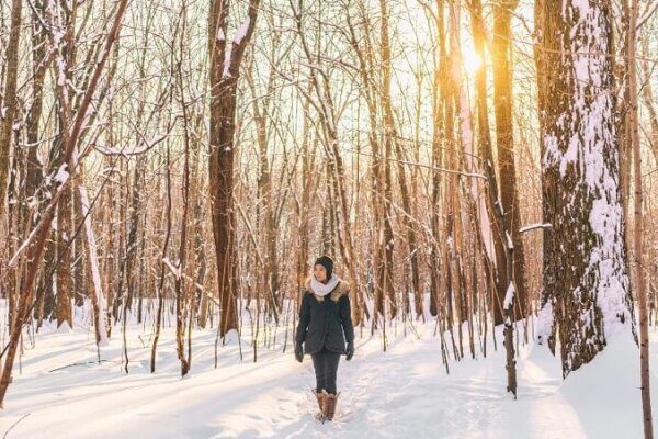 Free Things To Do In Toronto During Winter
