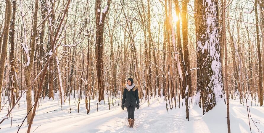 Free Things To Do In Toronto During Winter