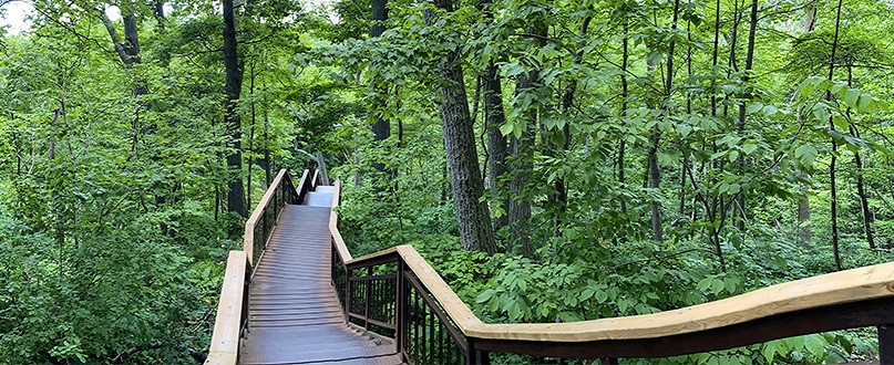 Toronto Ravine System