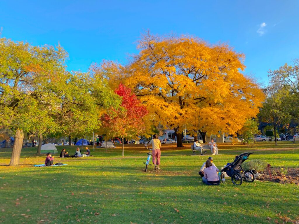 Itinerary For A Weekend In Toronto-Trinity Bellwoods Park