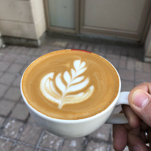Best Cappuccino in Toronto- Hailed Coffee cappuccino