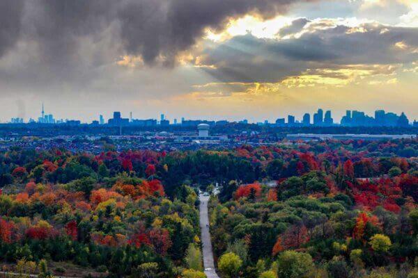 largest parks in toronto