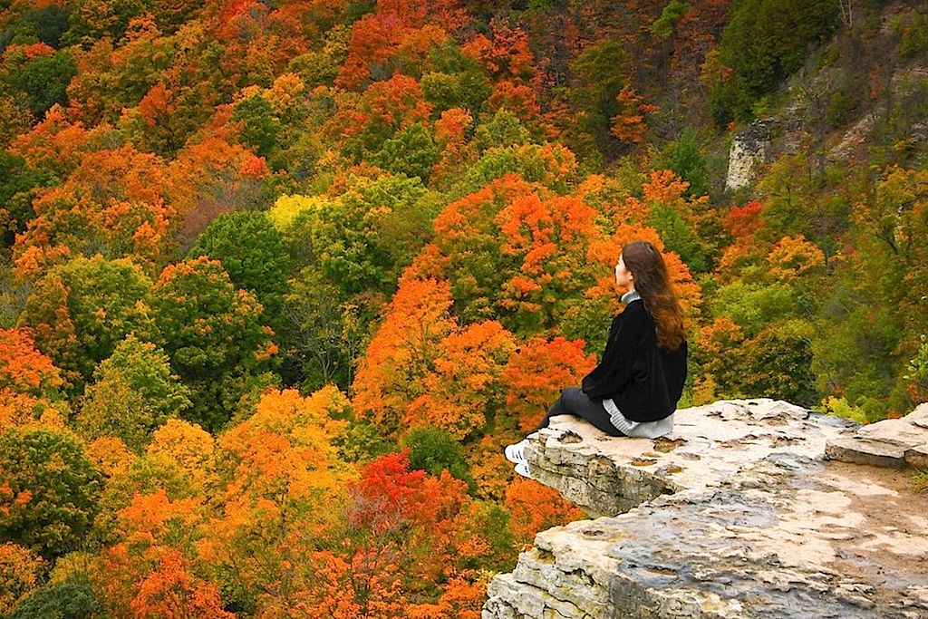 Best Places to See Fall Colours in Toronto
