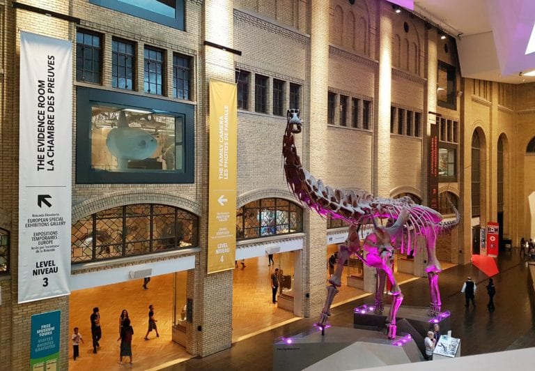 Royal Ontario Museum (ROM)